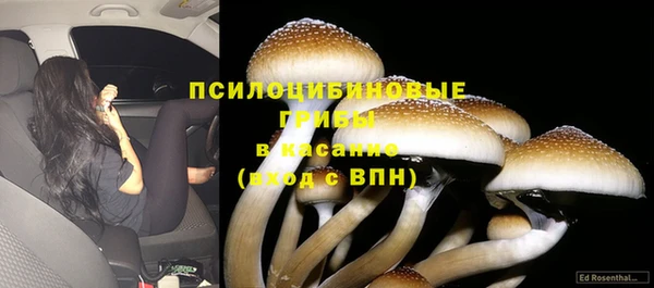 синтетический гашиш Арсеньев