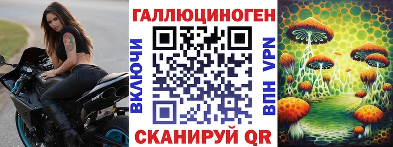 хочу наркоту  kraken вход  shop какой сайт  Бабаево  Псилоцибиновые грибы мицелий 
