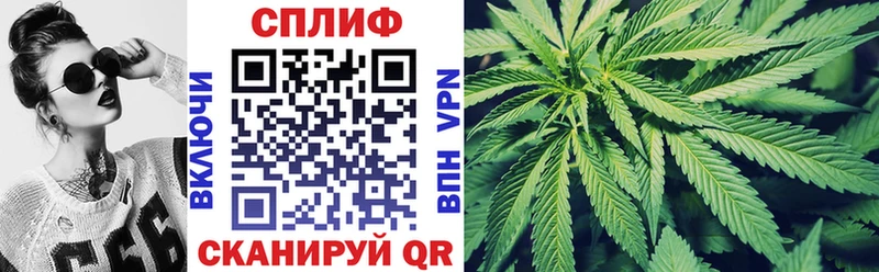 Бошки Шишки Ganja  Бабаево 